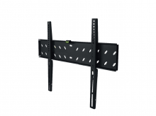 SLIM Stell Sho 2021