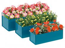 Truhlíky 845-882V00BU, sada 3 barevných květináčů, odolných vůči počasí, 2 rukojeti, 55 x 20 x 19 cm, modré