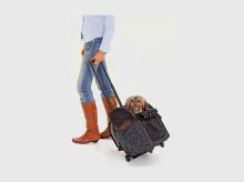 Batoh a taška s kolečky KARLIE Flamingo Smart Trolley City. 2v1 32 x 29 x 52 cm